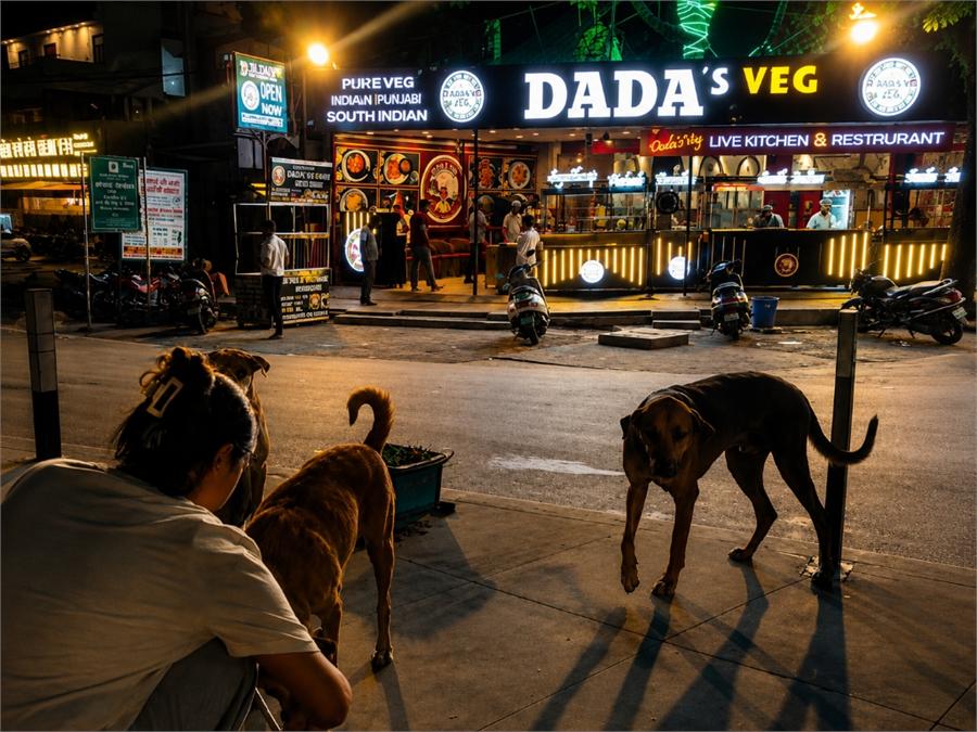 Mission Kruna Animal Welfare Drive